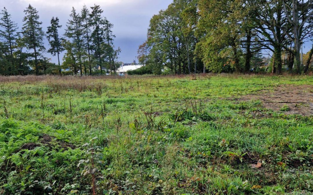 Vente Terrain – à Ploërmel (56800)